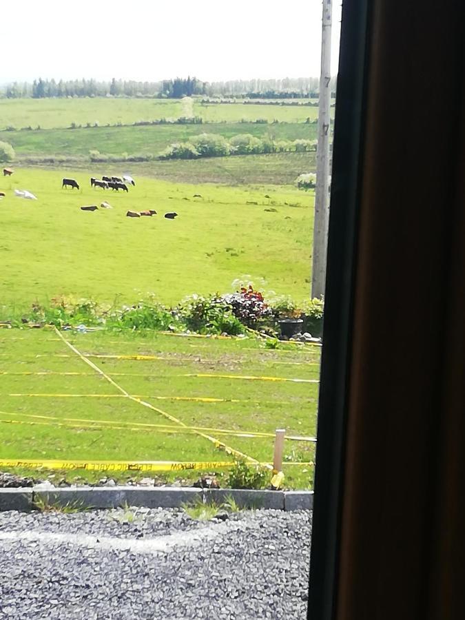 Peace And Tranquility Hotel Ballymote Buitenkant foto