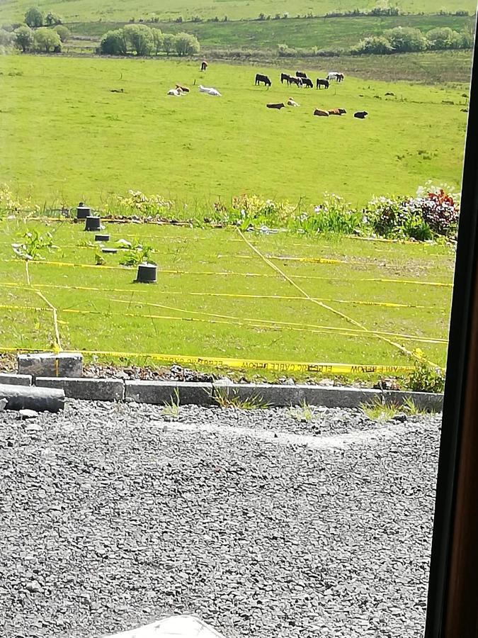 Peace And Tranquility Hotel Ballymote Buitenkant foto